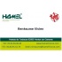 Hamel France